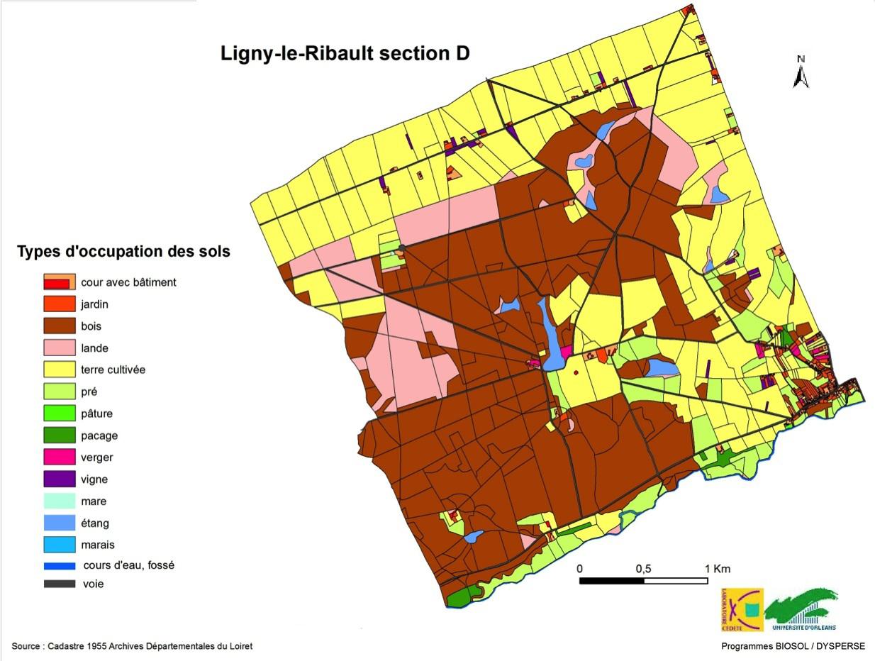 Occupation du sol dans le secteur nord-ouest de la commune de Ligny le Ribault en 1955.