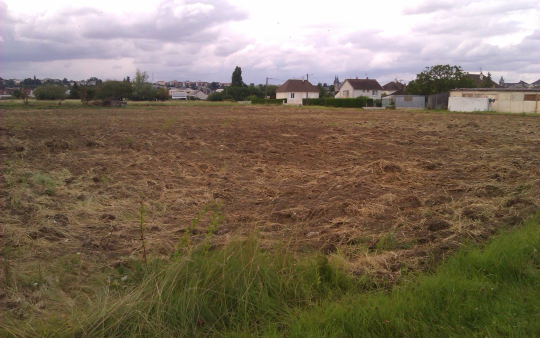 Feuilles vives de l’école du paysage #4 – Une politique agricole urbaine ? Promenade sonore sur les terres agricoles de la Vacquerie