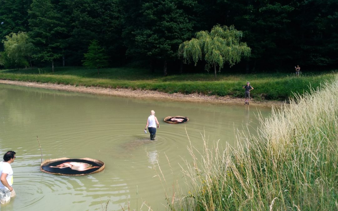 Feuilles vives de l’école du paysage #2 – Un cygne noir surveille les carpes : changement de regard dans la Vallée de la Cisse, par le festival H₂O