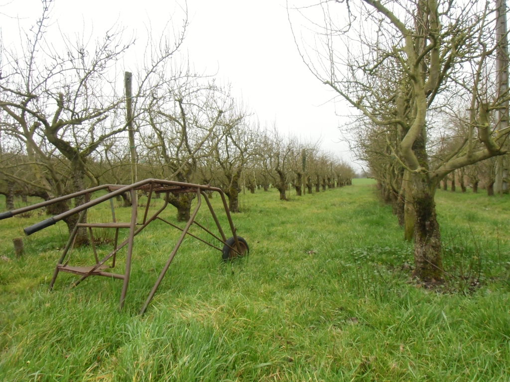 Escabeau transportable dans une parcelle de vergers que Xavier a conservé de l'exploitation précédente. Crédits photo : Nicolas Patissier pour Studio Zef