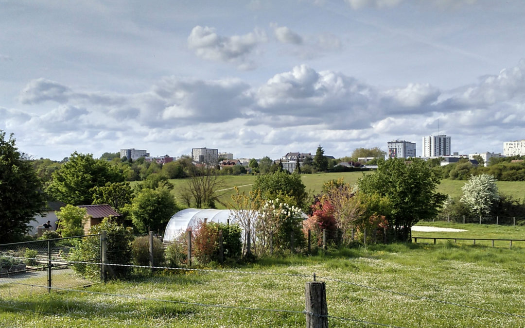 Feuilles vives #24 – Rêves de quartiers à la ferme de Brisebarre, pour une ville plus (ou)verte