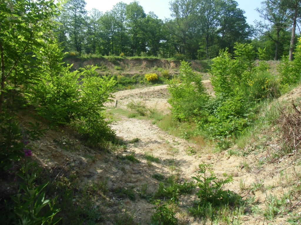 Sortie de l'espace magdalénien. Sur les bords du chemin, des acacias recolonisent l'espace vierge, et doivent être régulièrement arrachés. Crédits : Nicolas Patissier pour Studio Zef